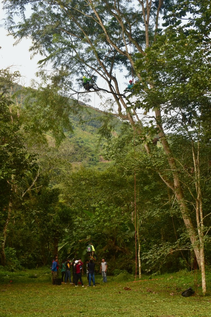 Formación de Jóvenes Expertos en la Poda de Sistemas Agroforestales Sucesionales